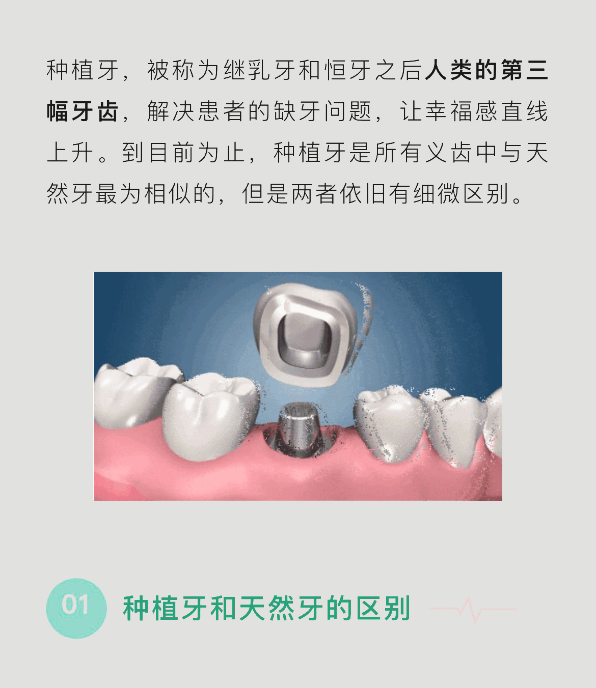 微信图片_20240712143447_01.jpg