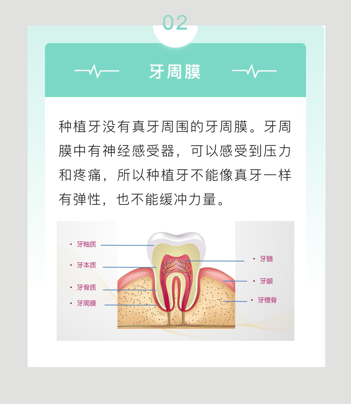 微信图片_20240712143447_03.jpg